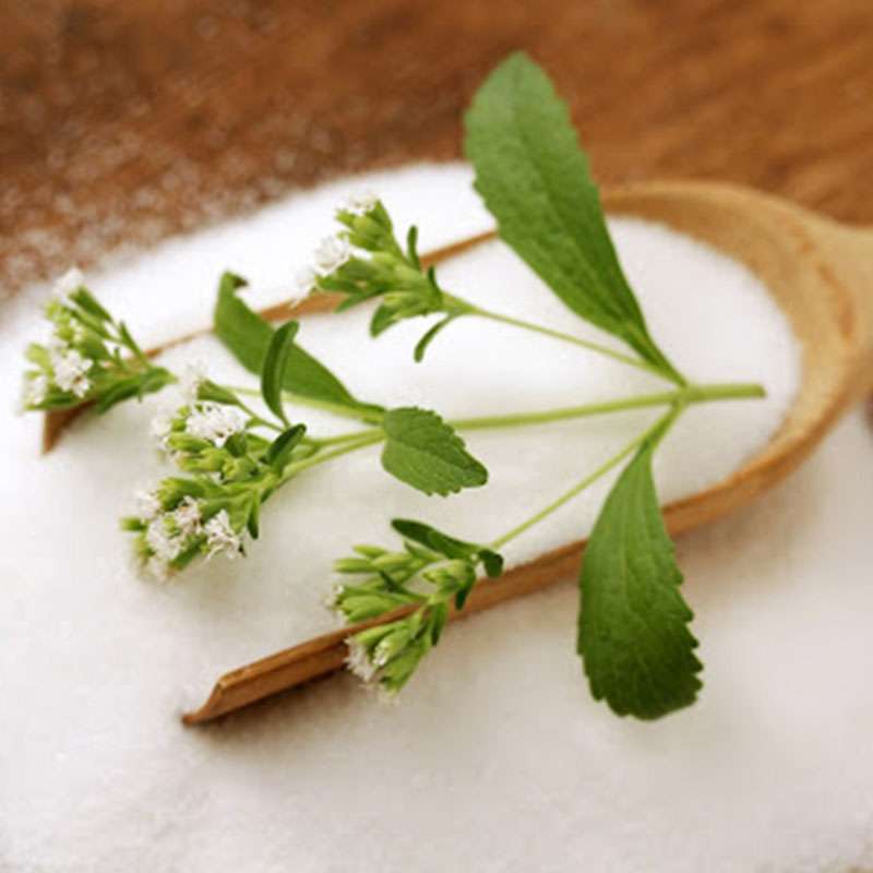  Aspartame Plus Manufacturers in Mumbai