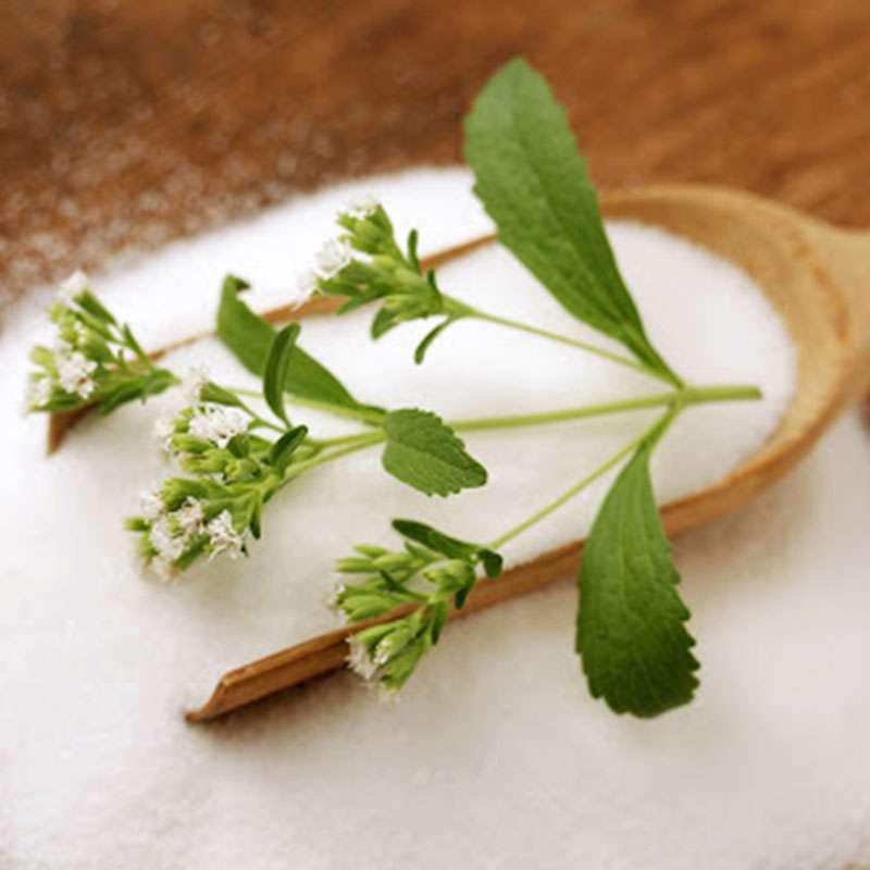  Saccharin Plus Manufacturers in Amritsar
